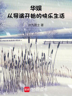 华娱导演类型